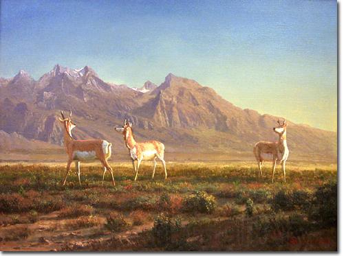 Albert Bierstadt Prong-Horned Antelope France oil painting art